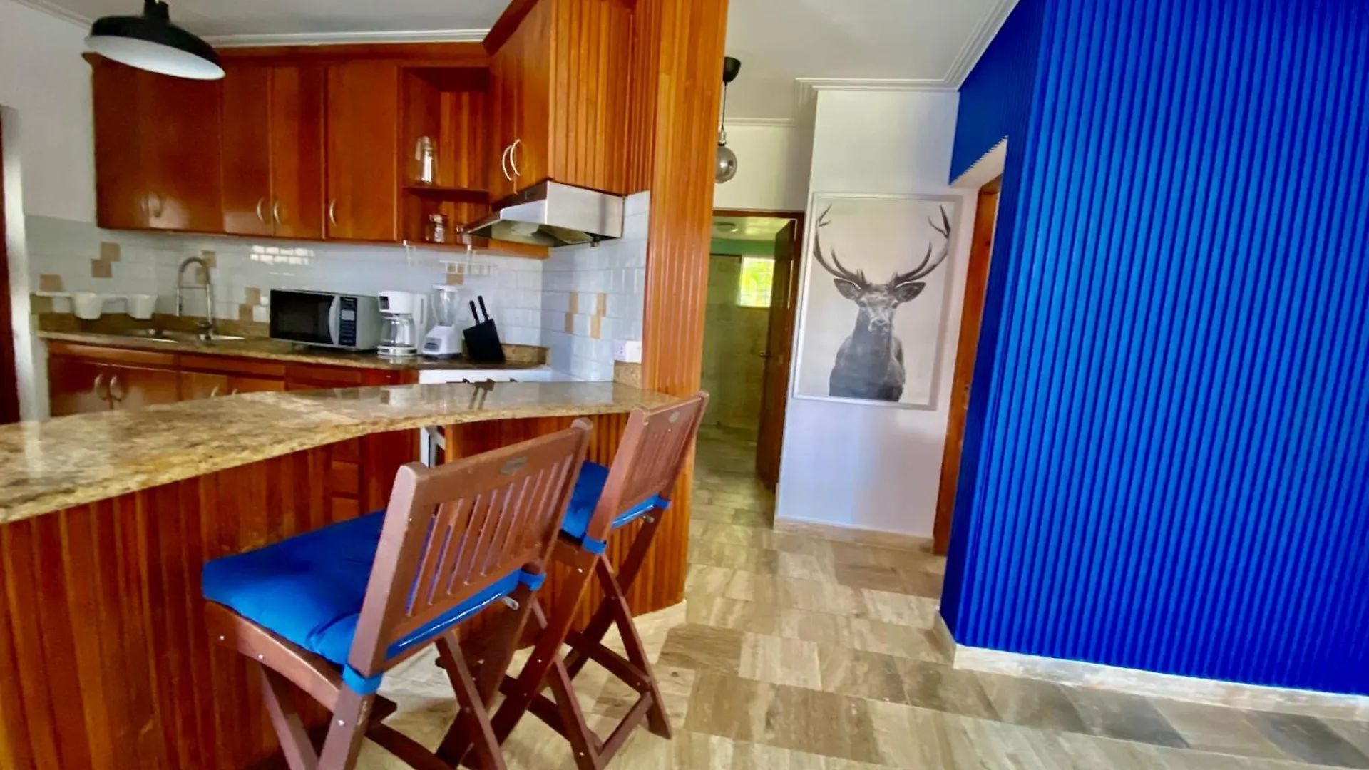 公寓 The Best Place In Los Corales Rd Arenas De B 蓬塔卡纳 多米尼加共和国