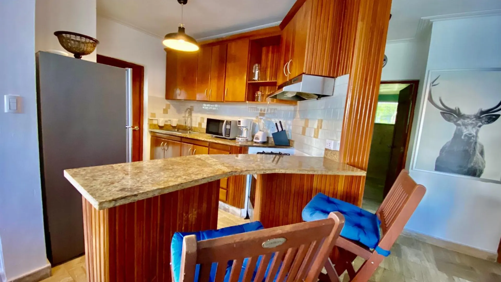 公寓 The Best Place In Los Corales Rd Arenas De B 蓬塔卡纳